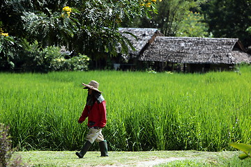 Image showing ASIA THAILAND CHIANG MAI CHIANG DAO MINORITY