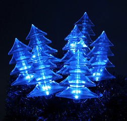 Image showing Christmas trees