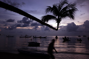 Image showing ASIA THAILAND KO TAO