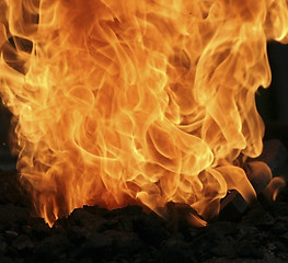 Image showing Fire