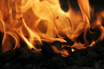 Image showing Fire