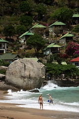 Image showing ASIA THAILAND KO TAO 