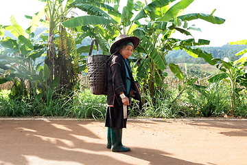 Image showing ASIA THAILAND CHIANG MAI CHIANG DAO MINORITY