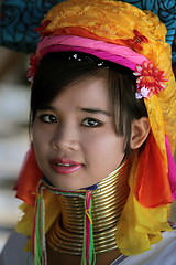 Image showing ASIA THAILAND CHIANG MAI WOMEN LONGNECK