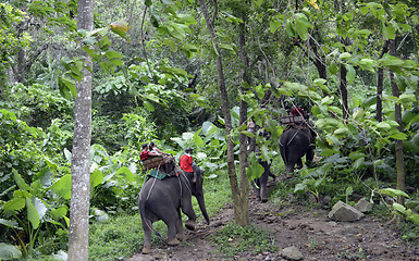 Image showing ASIA THAILAND PHUKET RAWAI 