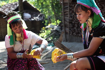 Image showing ASIA THAILAND CHIANG MAI WOMEN LONGNECK