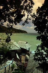 Image showing ASIA THAILAND KO TAO 