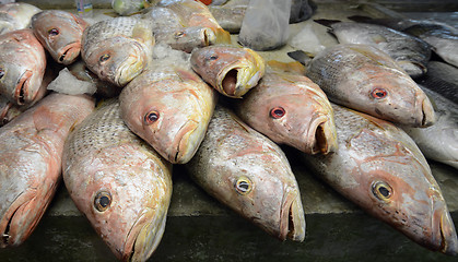 Image showing ASIA THAILAND PHUKET MARKT 