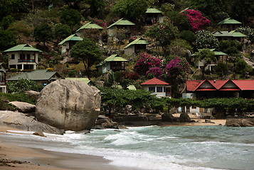 Image showing ASIA THAILAND KO TAO 