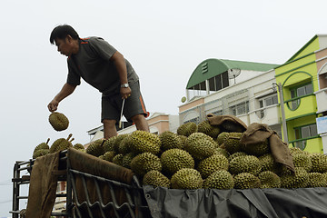 Image showing ASIA THAILAND PHUKET MARKT 