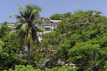 Image showing ASIA THAILAND PHUKET RAWAI 