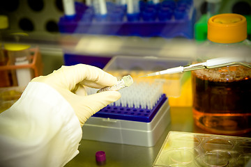 Image showing Working scientist
