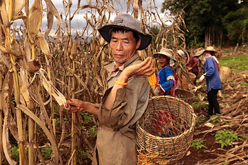 Image showing ASIA THAILAND CHIANG MAI FARMING