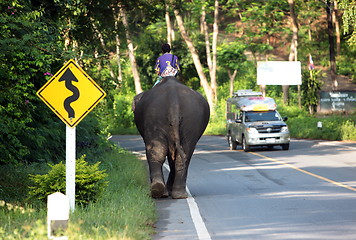 Image showing ASIA THAILAND CHIANG MAI CHIANG ELEPHANT