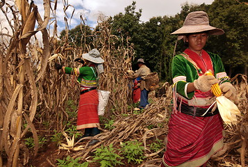 Image showing THAILAND CHIANG MAI