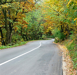 Image showing Curved road