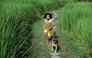 Image showing ASIA THAILAND CHIANG MAI CHIANG DAO MINORITY