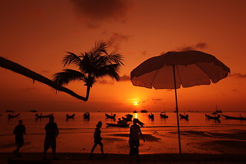 Image showing ASIA THAILAND KO TAO