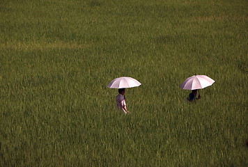 Image showing ASIA THAILAND CHIANG MAI CHIANG DAO MINORITY