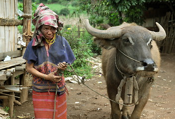 Image showing ASIA THAILAND CHIANG MAI CHIANG DAO MINORITY