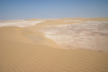 Image showing Desert in Qatar