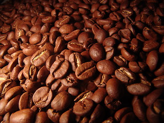 Image showing Coffe Beans