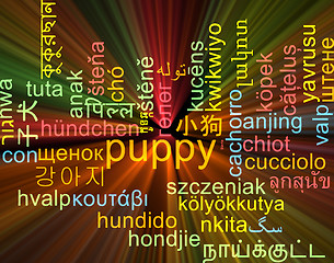 Image showing Puppy multilanguage wordcloud background concept glowing