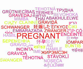 Image showing Pregnant multilanguage wordcloud background concept