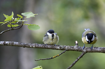 Image showing waiting