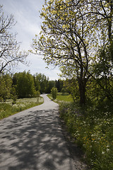 Image showing country road