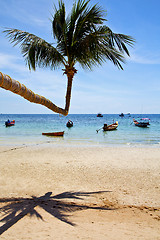 Image showing isle  asia in  kho phangan thailand bay   beach    rocks pirogue