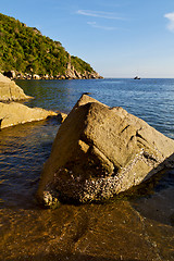 Image showing stone    thailand kho tao bay abstract of  