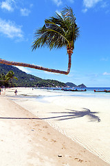 Image showing  in  kho tao thailand bay asia isle      rocks pirogue  