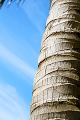 Image showing  bark  kho tao   bay asia     thailand  and sky