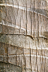 Image showing  bark in kho tao   bay     thailand  and  