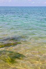 Image showing myanmar   kho samui bay isle froth foam  