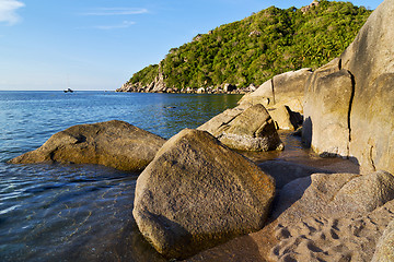 Image showing stone in thailand kho tao bay  