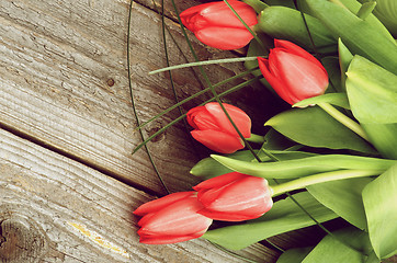 Image showing Spring Tulips