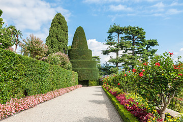 Image showing park on the island of Isola Bella. Italy