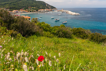 Image showing The village of Marciana Marina. Elba island