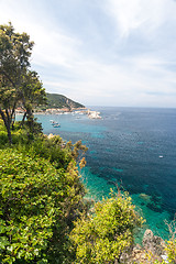 Image showing The village of Marciana Marina. Elba island