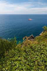 Image showing Island of Elba, sea and rocks