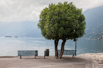 Image showing Two lonely benches overlooking the lake Maggiore