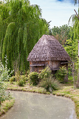 Image showing Small hut with a thatched roof.