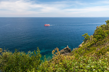 Image showing Island of Elba, sea and rocks