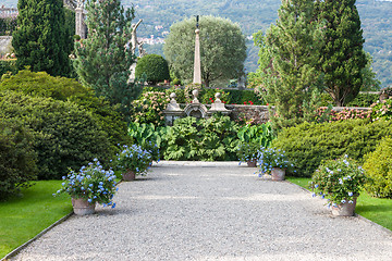 Image showing park on the island of Isola Bella. Italy