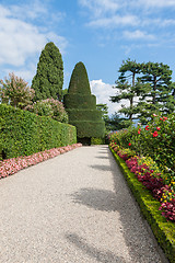 Image showing park on the island of Isola Bella. Italy