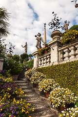 Image showing park on the island of Isola Bella. Italy