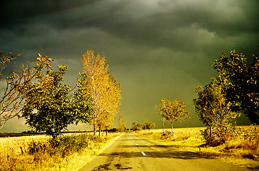 Image showing In line road in autumn