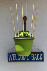 Image showing hanging plant with welcome back sign